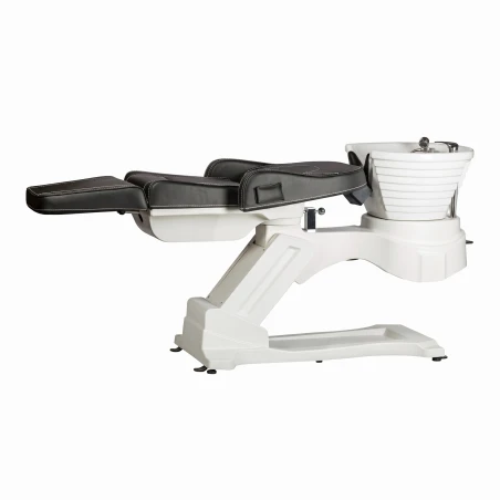 Akermann Electric Backwash Unit