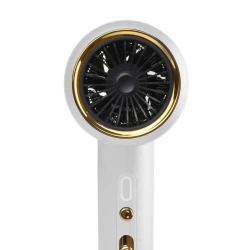 PostQuam Veloce Ionic Blue W professional hair dryer