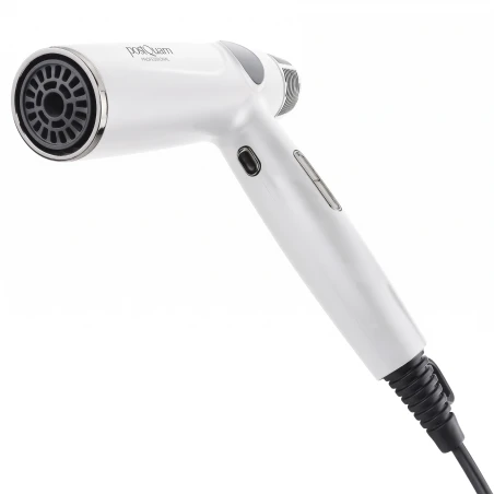 PostQuam Veloce Slim BLDC Ionic Pro 110 Professional Hair Dryer