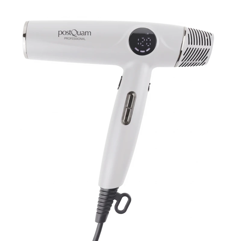 PostQuam Veloce Slim BLDC Ionic Pro 110 Professional Hair Dryer