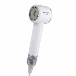 Professioneller Haartrockner Veloce Ion BLDC PostQuam